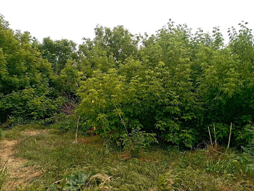 3 участка по 6 соток Одеса - зображення 1