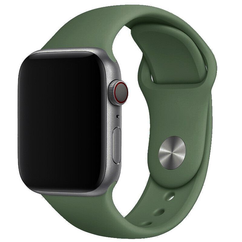 Силиконовый ремешок для Apple Watch 38/40/41/42mm(ser.10) Херсон - изображение 1