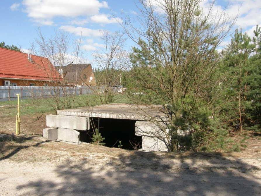 Продаж 10 соток біля лісу з газом і світлом | Вища Дубечня Вышгород - изображение 10