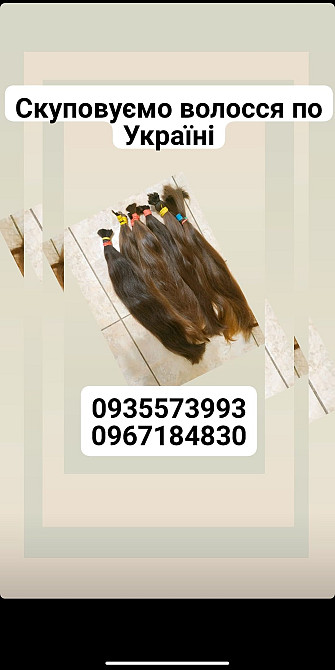 Продать волосы, куплю волосся по -0935573993 Киев - изображение 1