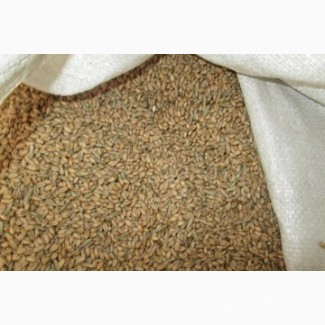 Куплю зерноотходы! Дніпро - зображення 1