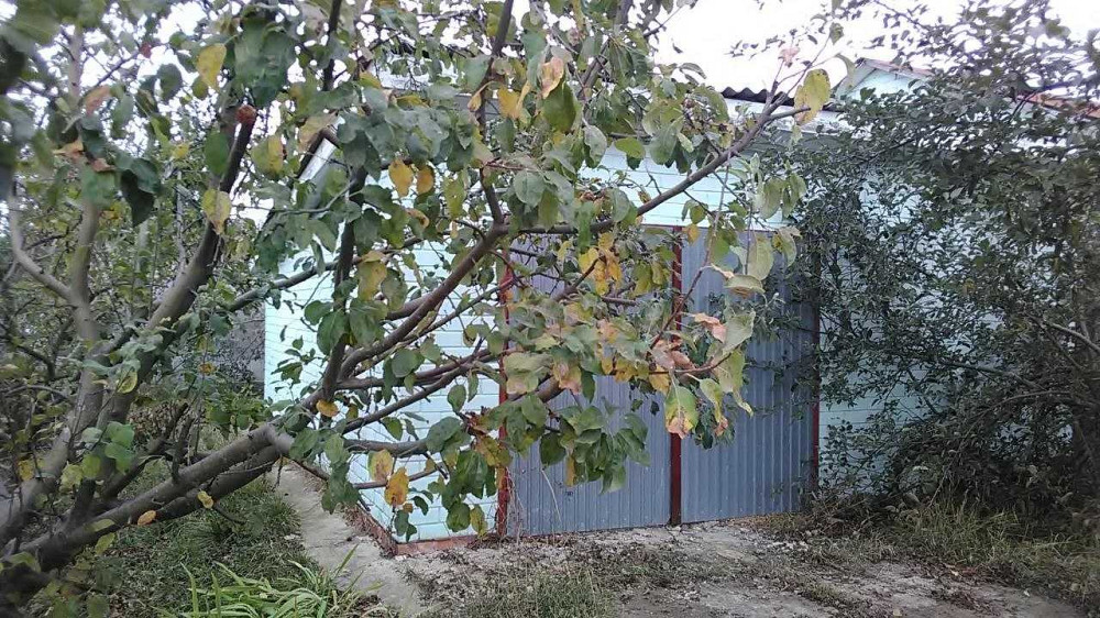 продажа 4-к дом Брусиловский, Брусилов, 55000 $  - зображення 5