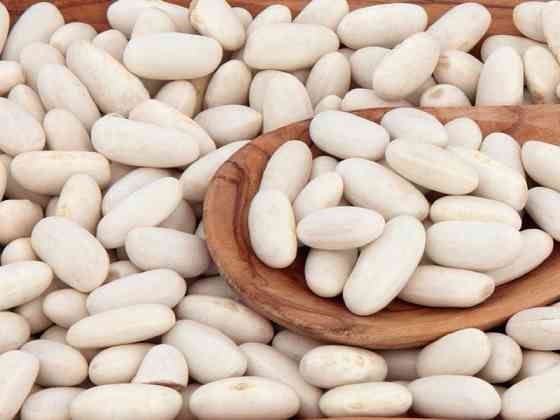 Високоякісна квасоля сортів Ластівка, Чалі, Біла довга, Томатка та ін Тернопіль