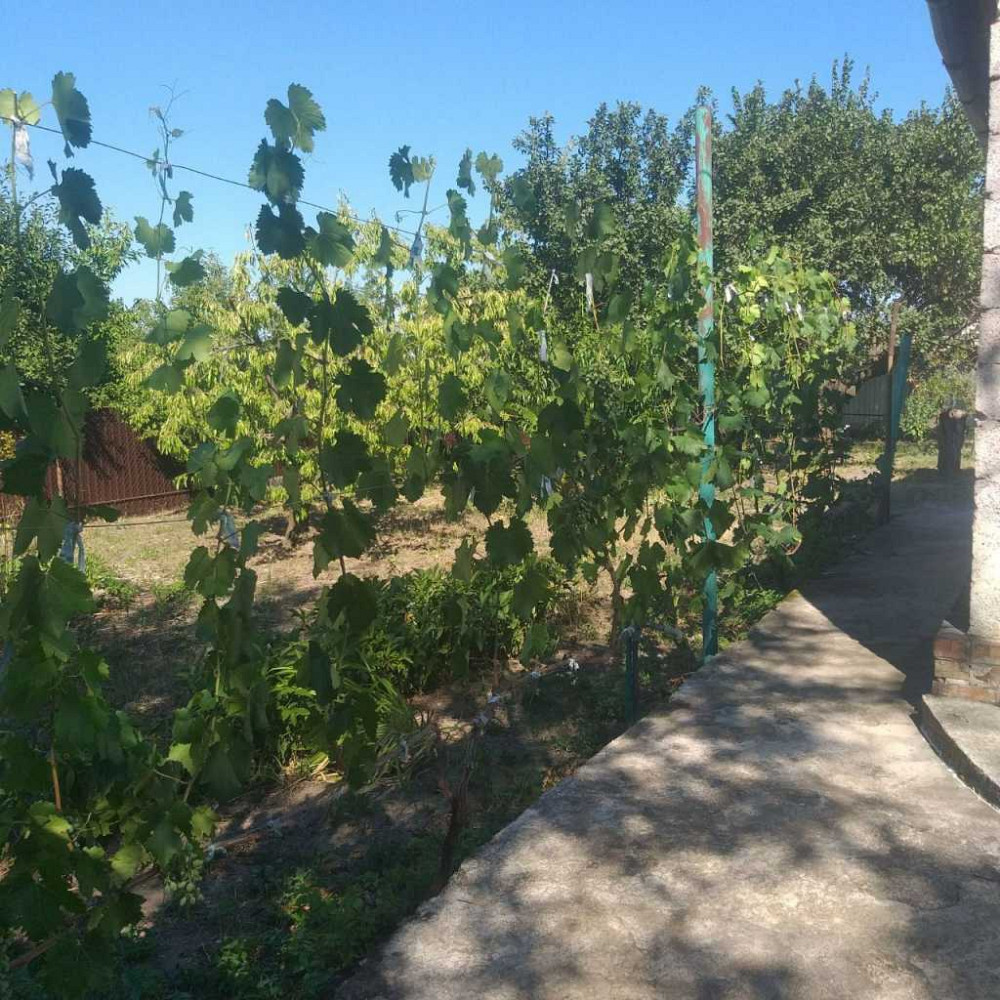 продажа 2-к дача Запорожье, Днепровский, 4000 евро Запорожье - изображение 6