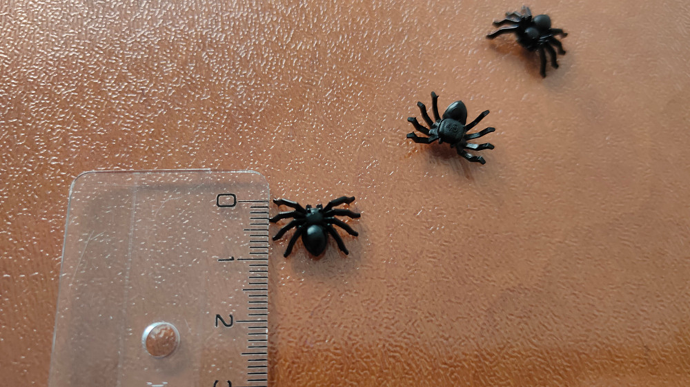 Паучки Чёрные 10 шт для хэллоуина ,для прикола Бориспіль - зображення 6