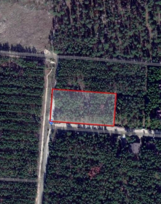 Ділянка під будівництво 34 сотки з лісом Вишгород - зображення 5