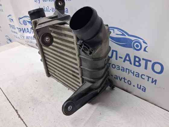 Радиатор интеркуллера Skoda Fabia 2007-2014 6Q0145804G (Арт. 78148) Київ