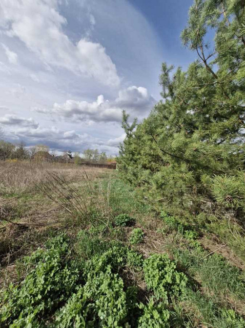 продажа участок под жилую застройку Обуховский, Романков, 120000 $  - изображение 6