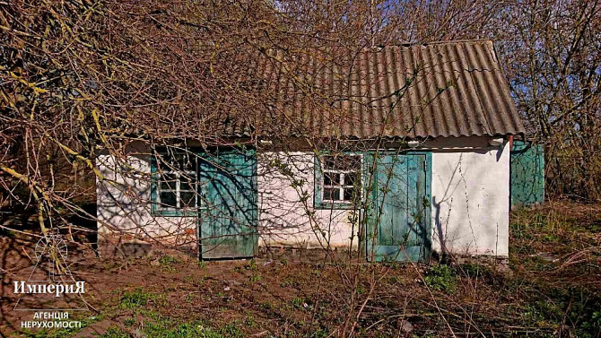 Дом в селе Острая Могила.Газ,свет,вода заведены. Біла Церква - зображення 6