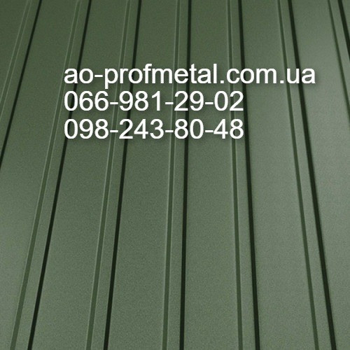 Профнастил для забора 6020 мат. Київ - зображення 1