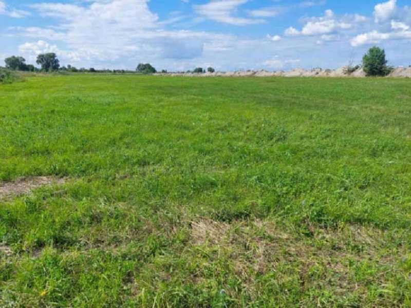 продажа земля сельскохозяйственного назначения Броварский, Зазимье, 46740000 грн.  - изображение 6