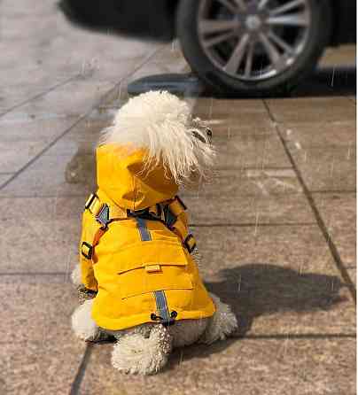 Куртка для собак 11324 S жовта Киев
