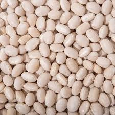 Продаємо насіння квасолі з гарантією викупу врожаю Дніпро - зображення 1