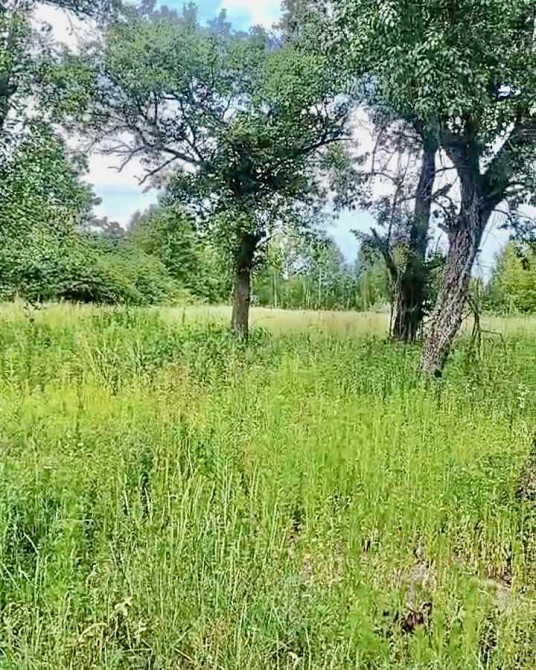 продажа 3-к дом Вышгородский, Жукин, 21000 $  - изображение 2