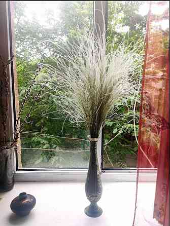 долгосрочная аренда 1-к квартира Одесса, Приморский, 4500 грн./мес. Одесса