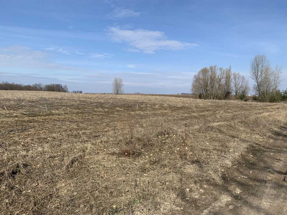 продажа земля сельскохозяйственного назначения Бориспольский, Глубокое, 389700 грн.  - изображение 4