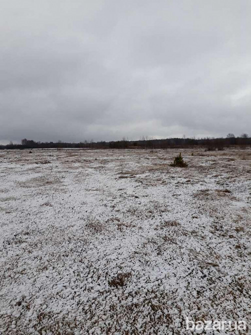 продажа участок под жилую застройку Ковельский, Ковель, 90000 грн. Ковель - изображение 2