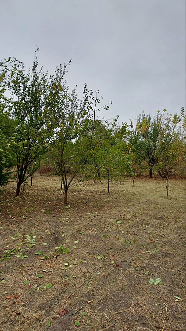 Продам дачний будинок біля м. Самар Новомосковск - изображение 8