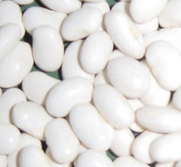 Закуповуємо оптом різні сорти квасолі Одесса - изображение 1