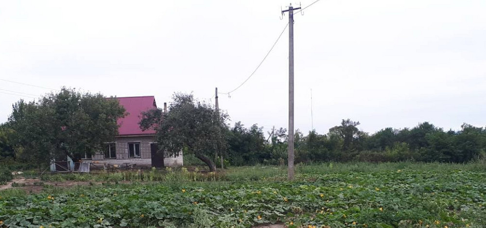 Продається овочева тваринницька садова ягідна равликова ферма Канів - зображення 8