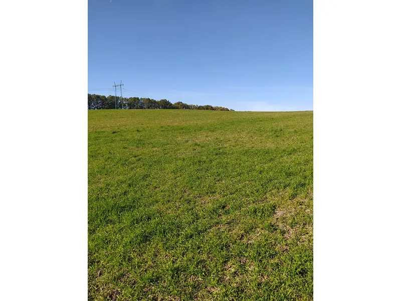 продажа земля сельскохозяйственного назначения Обуховский, Подгорцы, 240000 грн.  - изображение 1