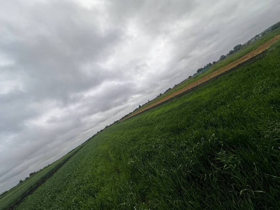 Продаж земельної ділянки Зубра осг 20соток Львів - зображення 8