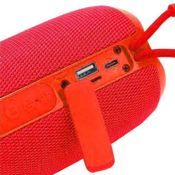 Колонка портативная Bluetooth T&G TG653 red красный Київ