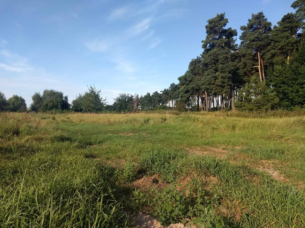 Земельна ділянка площею 0,5000 га в с. Дернівка Барышевка - изображение 1