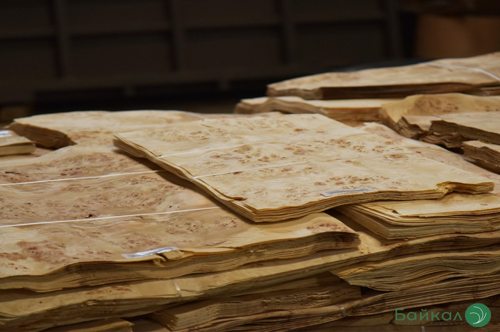 Шпон капа тополя очкового Киев - изображение 3