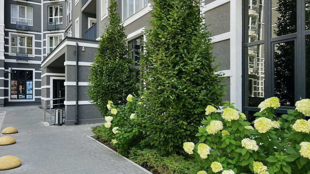 Продаж 1 кімнатна квартира м. Буча КОД 21108890 Київ - зображення 3