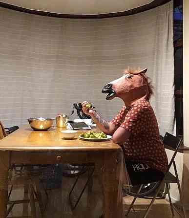 Маска голова Коня Бо Джека реалистичная Київ