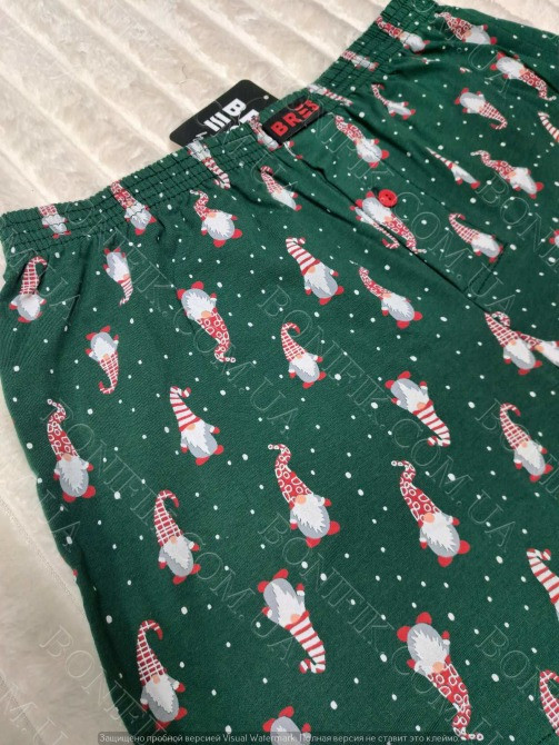 Мужские зелёные семейные трусы с рисунком гномов ТМ "BRES" (арт. MBXK 307/01/140) Кривий Ріг - зображення 3