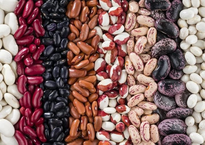 Продаємо насіння квасолі різних сортів Ужгород - зображення 1