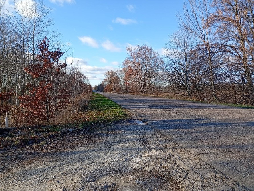 Княжичі. Продам фасадну ділянку 84сот Бровары - изображение 6