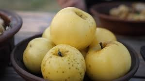 Продам саджанці яблунь Сквира - зображення 3