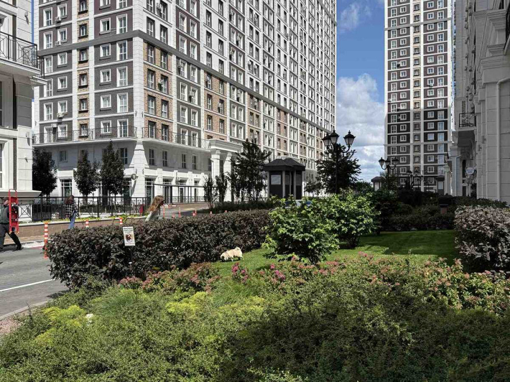 долгосрочная аренда торговые площади Киев, Голосеевский, 550 $/мес. Киев - изображение 10