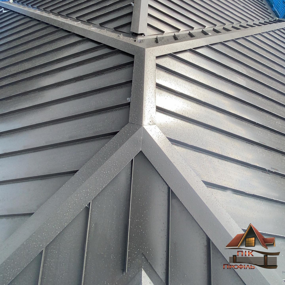 Коник звичайний, коник покрівельний, конек, коньок Киев - изображение 2