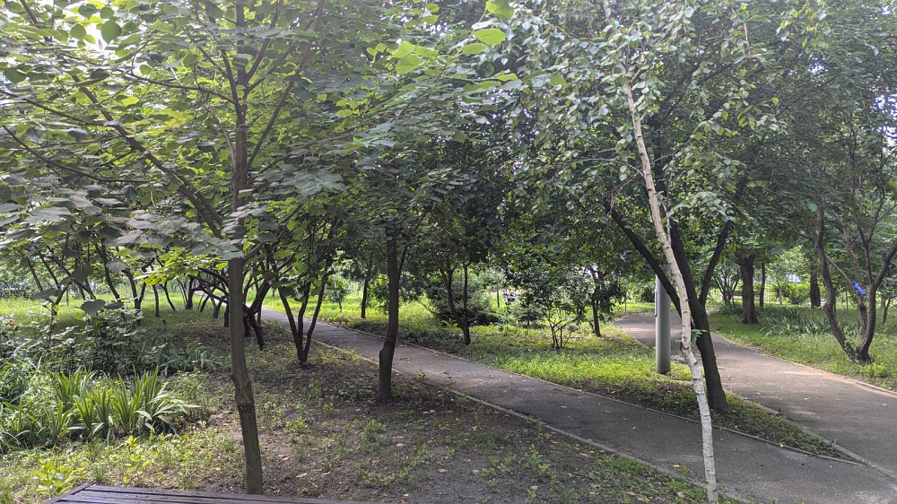 продажа 1-к квартира Киев, Дарницкий, 60000 $ Киев - изображение 11