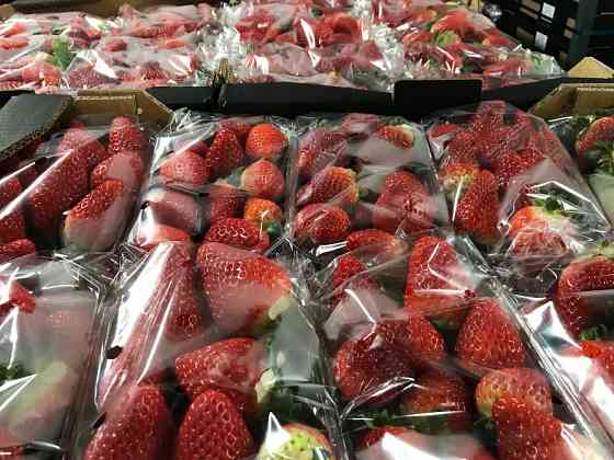 Продаем клубнику Київ