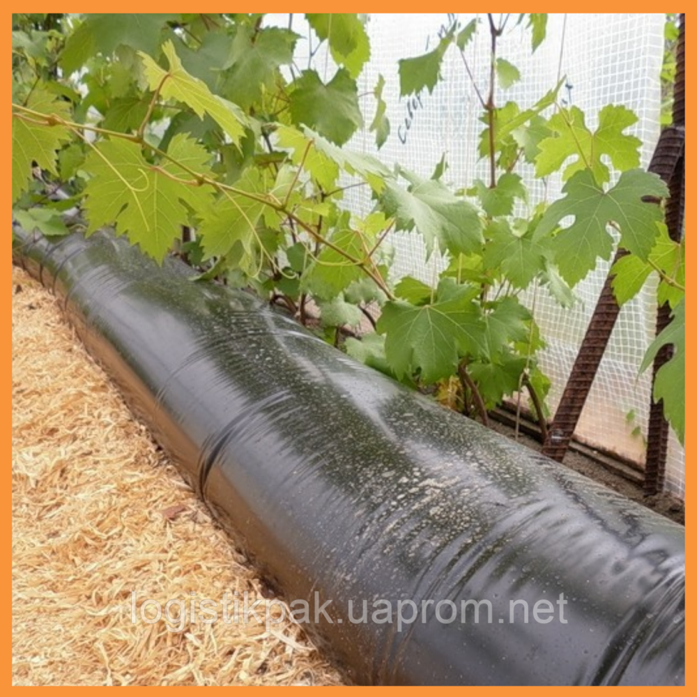 Пленка первичная полиэтиленовая|100мкм|6х50м Харьков - изображение 11