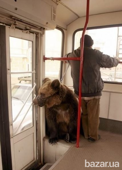 Ремонт окон Киев, регулировка дверей, диагностика и срочный ремонт Киев - изображение 1