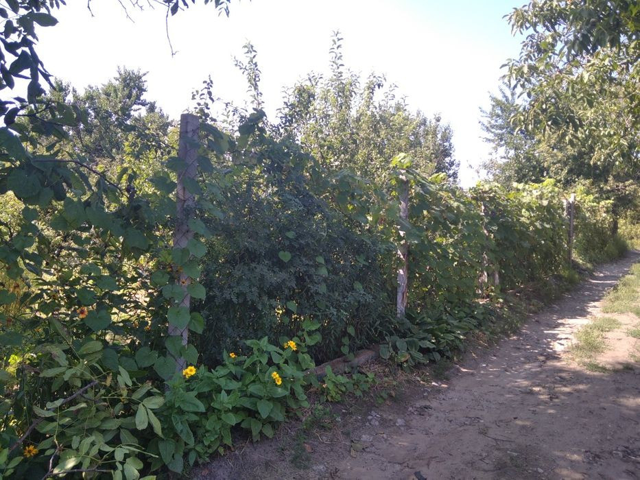 Продам. Дачу 20 м.кв. 6,7 сот. Шевченка. вул. Кадрова 2-Д. ДО "Самара" Днепр - изображение 12