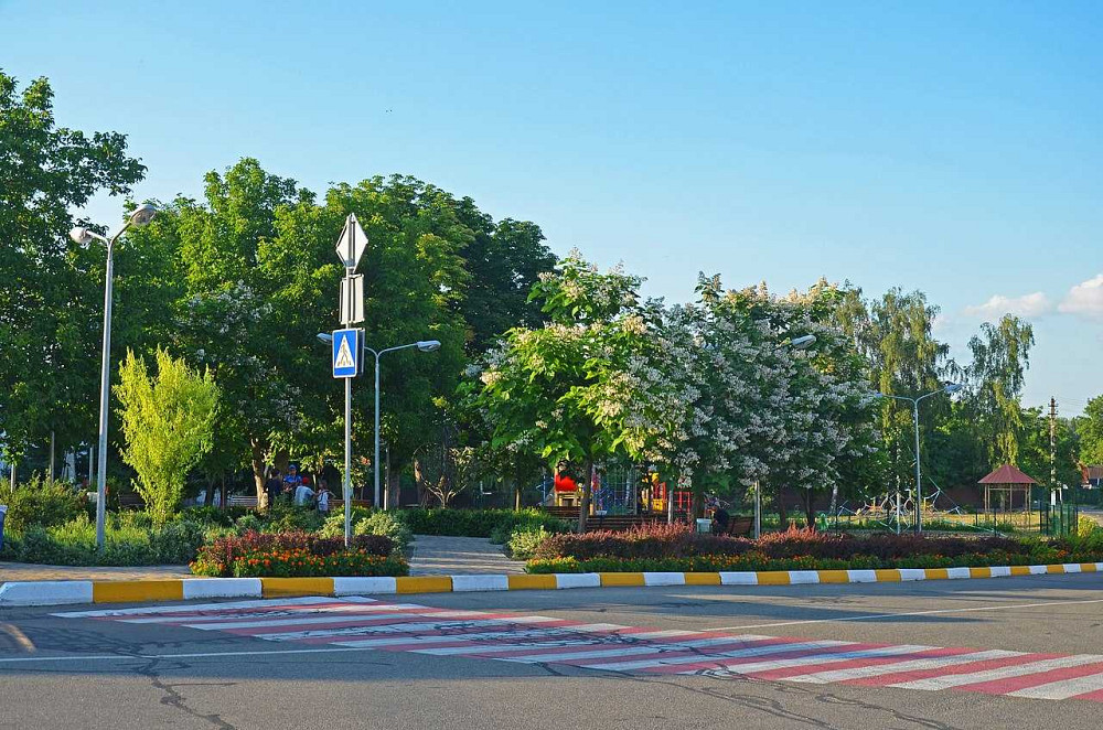 продажа участок под жилую застройку Обуховский, Подгорцы, 70000 $  - зображення 12