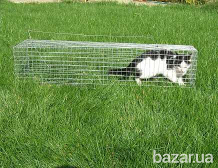 Живоловка для кота. Котоловка. Купить клетку для отлова котов Киев - изображение 4