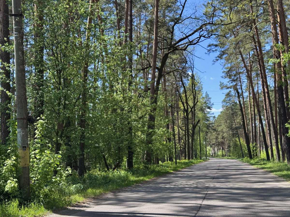 продажа 2-к квартира Бородянский, Песковка, 22000 $  - зображення 11