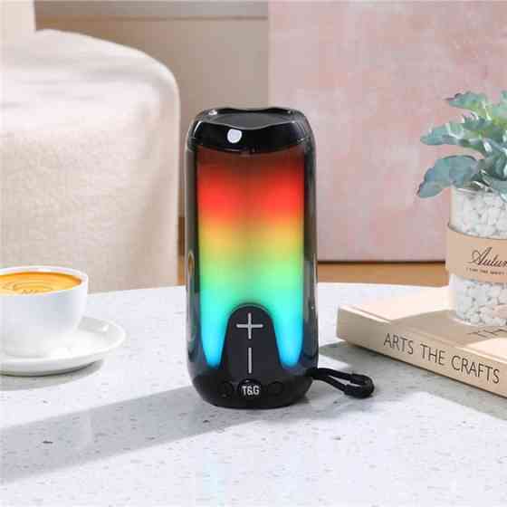 Колонка портативная Bluetooth T&G TG651 black черная Киев