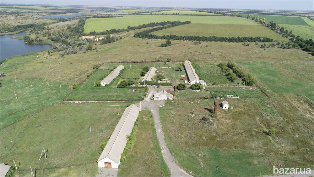 продажа помещения свободного назначения, здания Криничанский, Малософиевка, 200000 $  - зображення 10