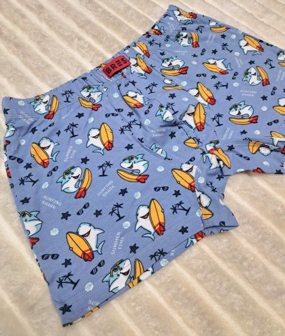 Мужские боксеры BRES с принтом «Серфинг» (арт. МSHK 304/03/146) Кривой Рог - изображение 3