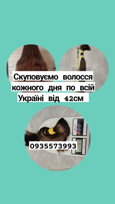 Купуємо волосся в Києві та по всій Україні від 42см -0935573993 Київ - зображення 1