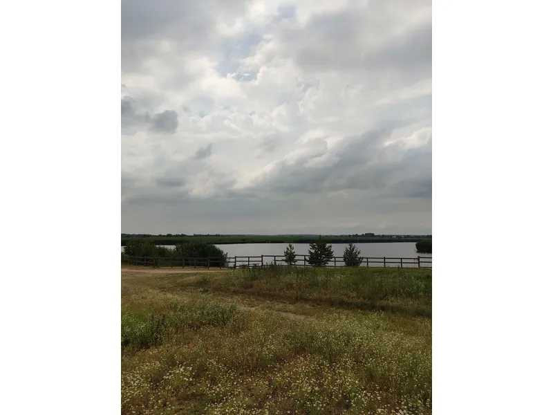 продажа земля сельскохозяйственного назначения Бородянский, Лубянка, 11893757 грн.  - зображення 7